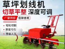 點(diǎn)擊查看詳細(xì)信息<br>標(biāo)題：草皮劃線機(jī) 閱讀次數(shù)：2718
